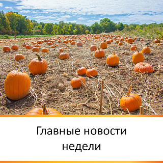 ГЛАВНЫЕ НОВОСТИ НЕДЕЛИ